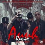 Mr. Javy The Flow Ft. Pacho y Cirilo Y Angel Doze - Auuh Remix MP3