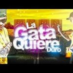 Ñengo Flow Ft. Gaona - La Gata Quiere Duro MP3